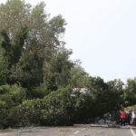 La Romea chiusa per gli alberi caduti