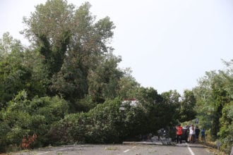 La Romea chiusa per gli alberi caduti