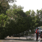 La Romea chiusa per gli alberi caduti