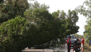 La Romea chiusa per gli alberi caduti