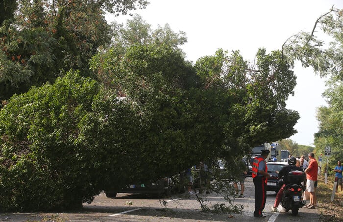La Romea chiusa per gli alberi caduti