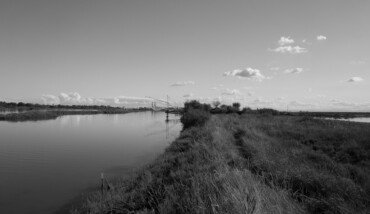 03092017 L1030194