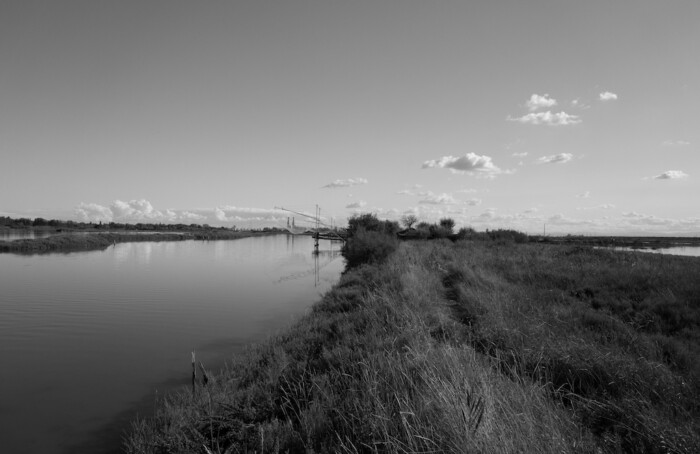 03092017 L1030194