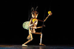 String Theater THE INSECT CIRCUS
