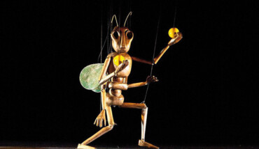 String Theater THE INSECT CIRCUS