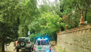 Via Pigno, La Strada Bloccata Dagli Alberi Caduti (2)