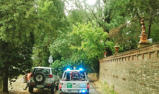 Via Pigno, La Strada Bloccata Dagli Alberi Caduti (2)