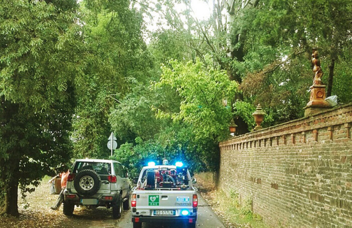 Via Pigno, La Strada Bloccata Dagli Alberi Caduti (2)