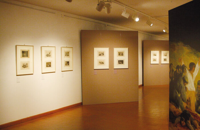 Mostra Goya, Sala