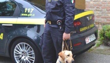 cane guardia di finanza