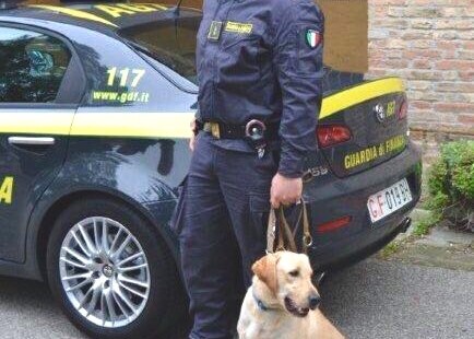 cane guardia di finanza
