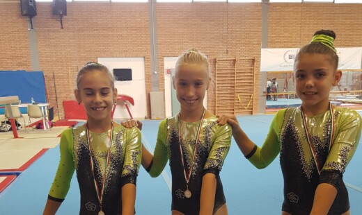 EDERA RAVENNA SEZIONE ARTISTICA CAMP. SERIE C2 (2)