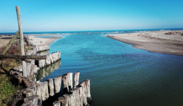 Foce Bevano2