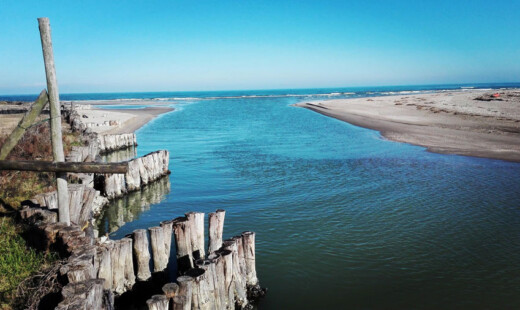 Foce Bevano2