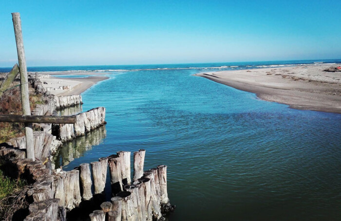 Foce Bevano2