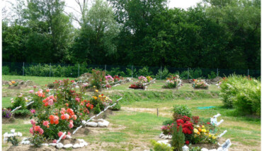 Parcobeato