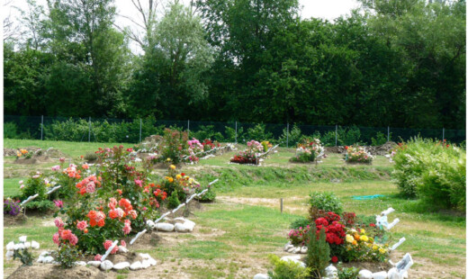 Parcobeato