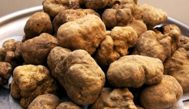 Tartufi