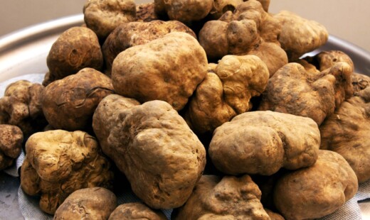 Tartufi