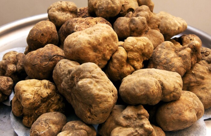Tartufi