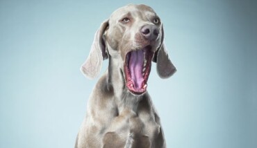 155608240 C914a820 4503 4853 8c3c 226ce466ad4f