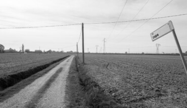 Cupa la via