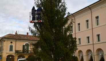 Albero Cervia