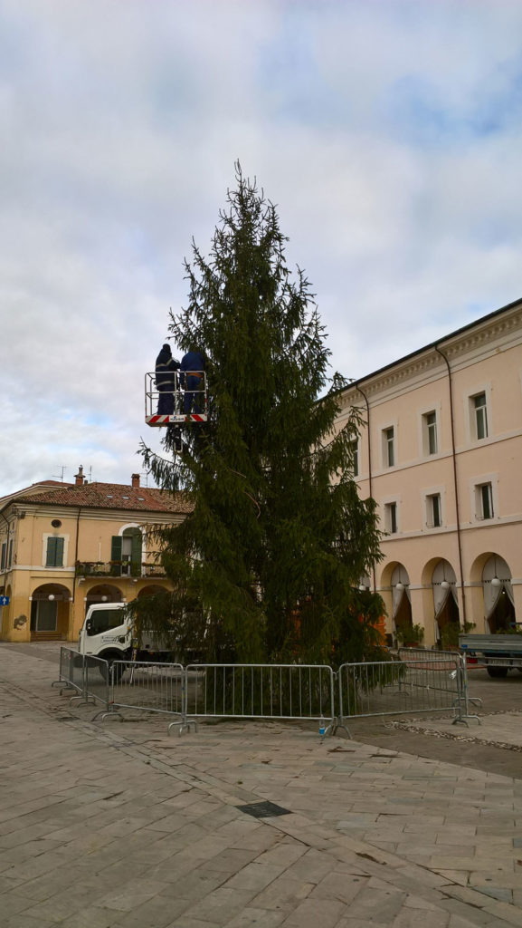 Albero Cervia