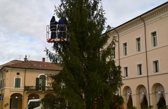 Albero Cervia