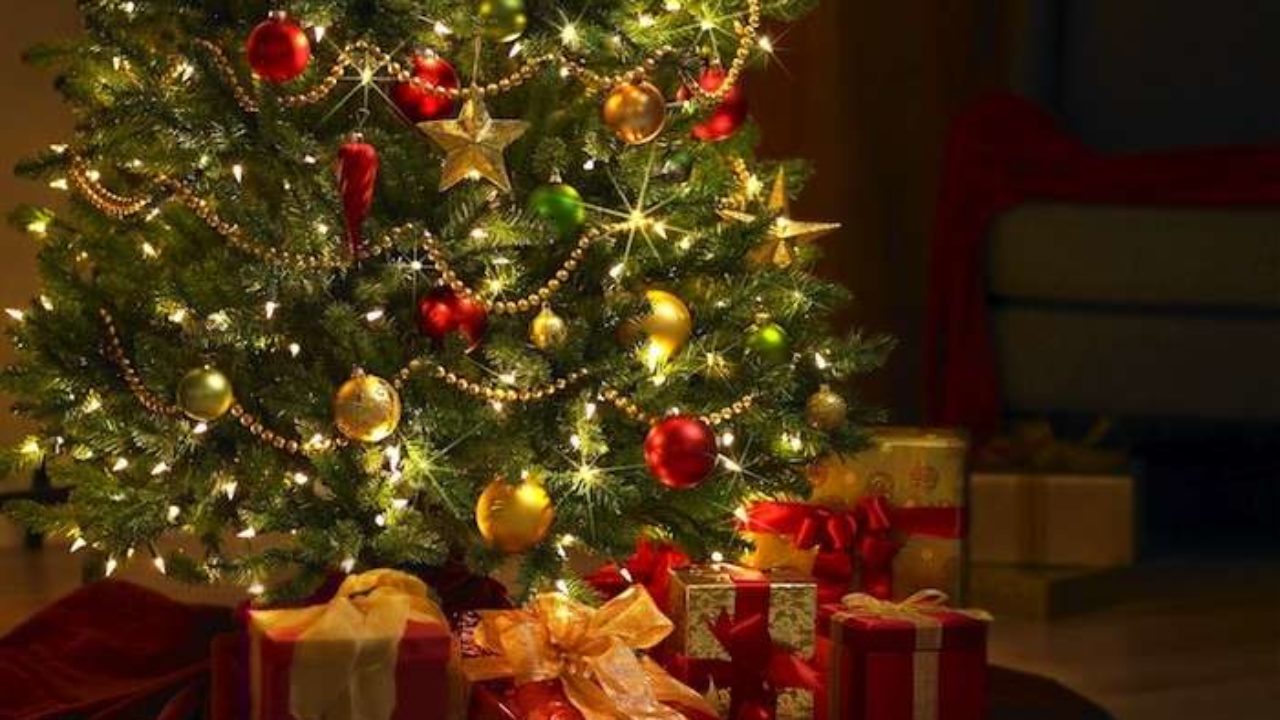 Regali Di Natale Culturali.Appello Da Roncalceci Date Una Seconda Vita Ai Vostri Alberi Di Natale