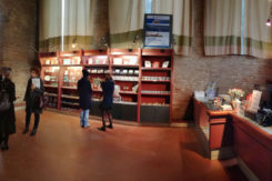 Bookshop Santapollinare Classe