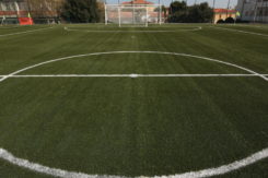 Campo Calcio Senigallia Impianti Sportivi