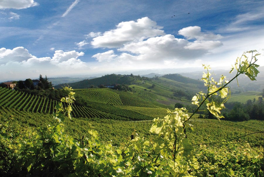 Chianti