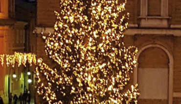 Albero di Natale