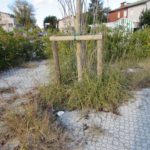 Piazza Porto Fuori 3