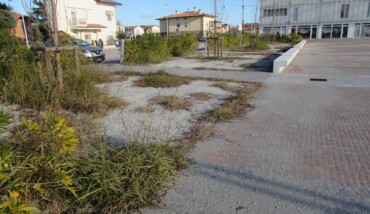 Piazza Porto Fuori 4