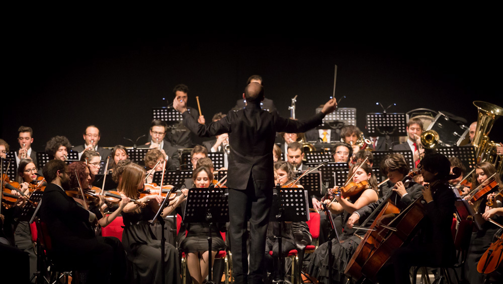 Orchestra Senzaspine (Massimiliano Donati)