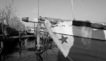 Stelle cadenti
