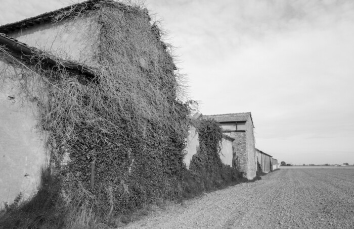 Tra la vita e la morte
