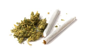Marijuana