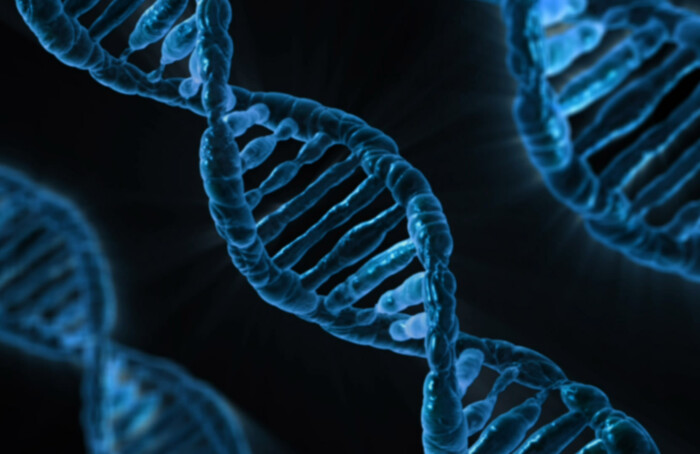 Dna