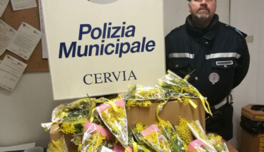 Rinvenimenti Mimose