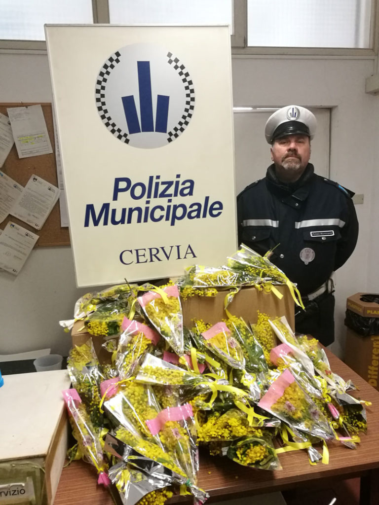 Rinvenimenti Mimose
