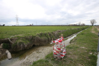 RAVENNA 31/03/18. ORDIGNO BELLICO TROVATO IN UN CAMPO A SAVARNA SU VIA BASILICA