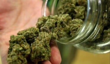 Marijuana