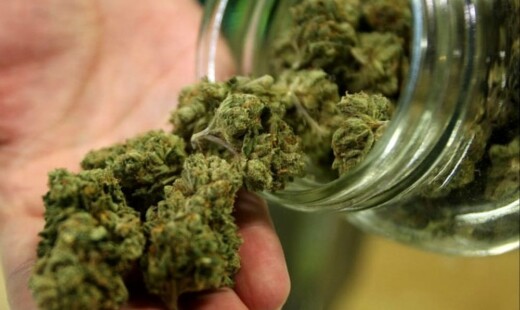 Marijuana