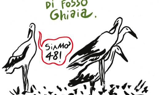 Villaggio Cicogne Costantini