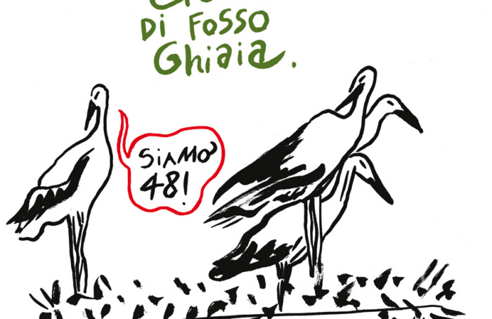 Villaggio Cicogne Costantini