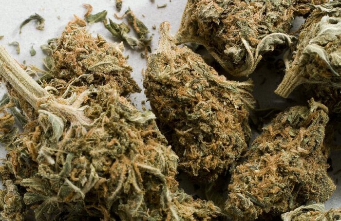Cime Marijuana