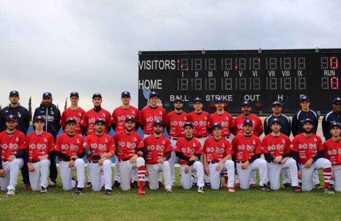 Godo Baseball Rosa